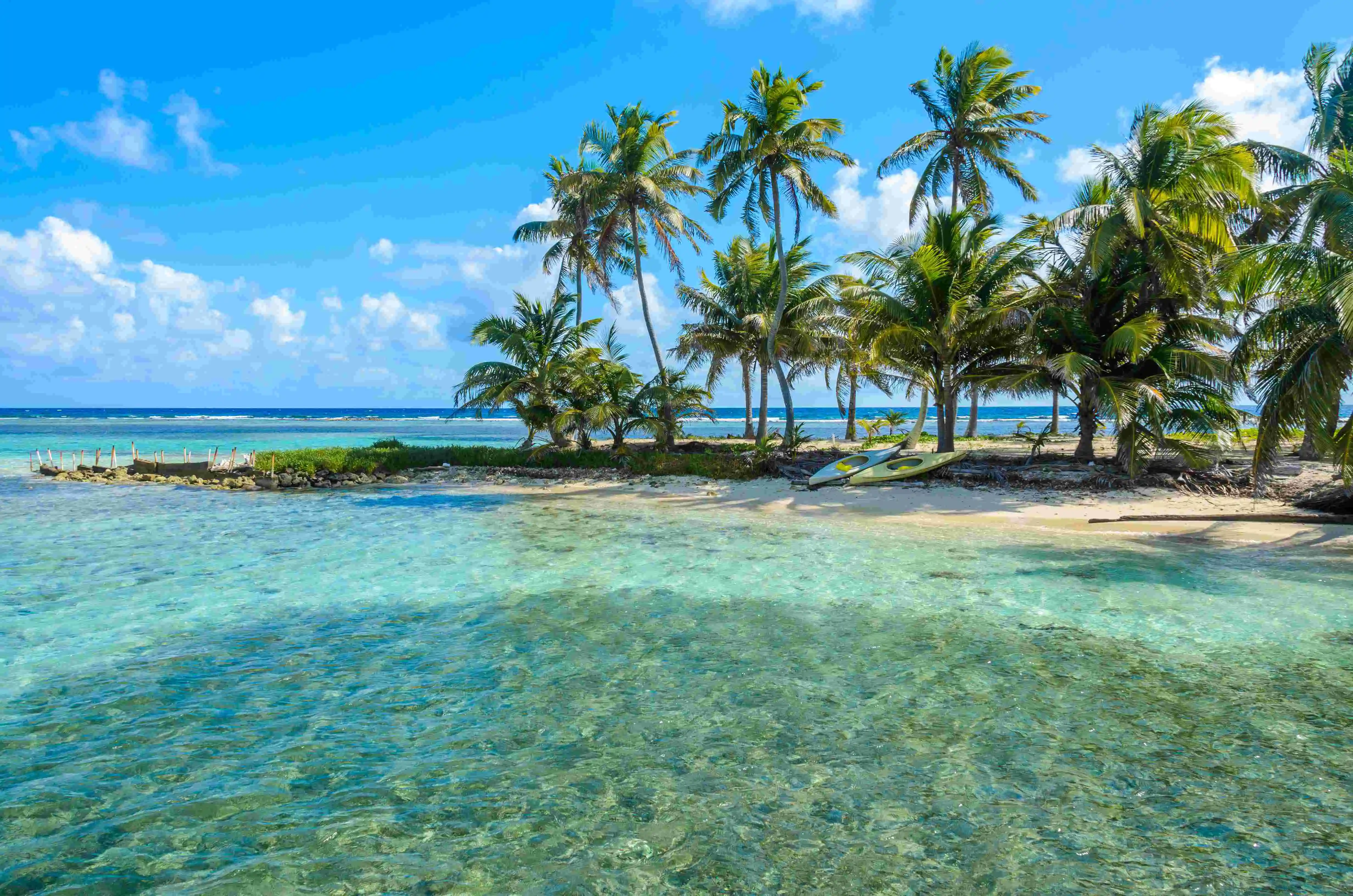 Carrie Bow Cay