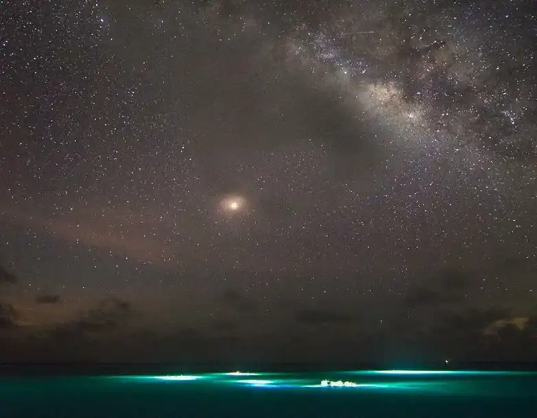 Night snorkeling under the Milky Way on South Water Caye