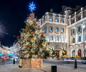 Christmas tree in London
