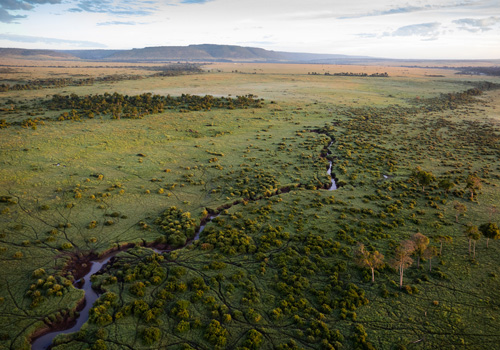 maasai Mara