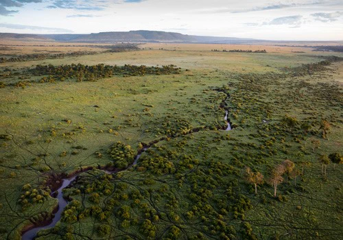 Aerial view of Masai Mara