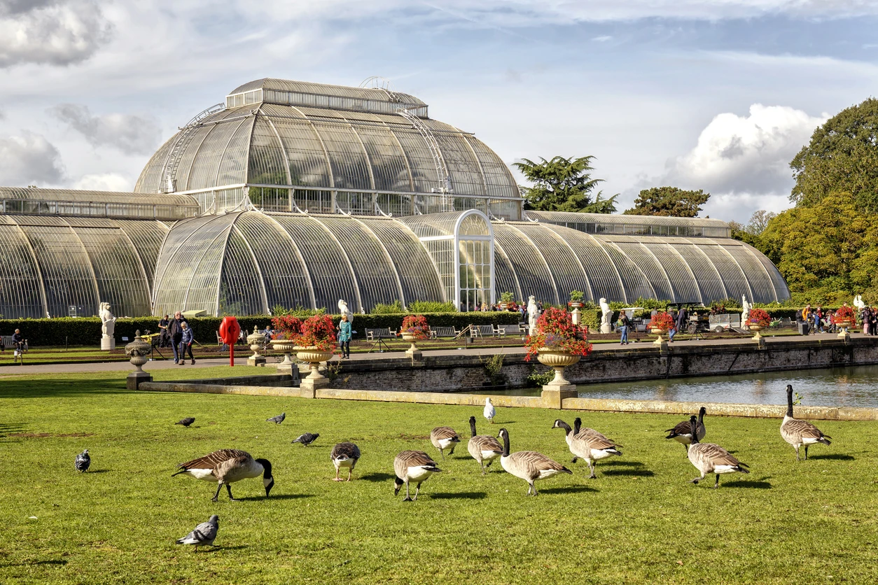 Royal Botanic Gardens, Kew