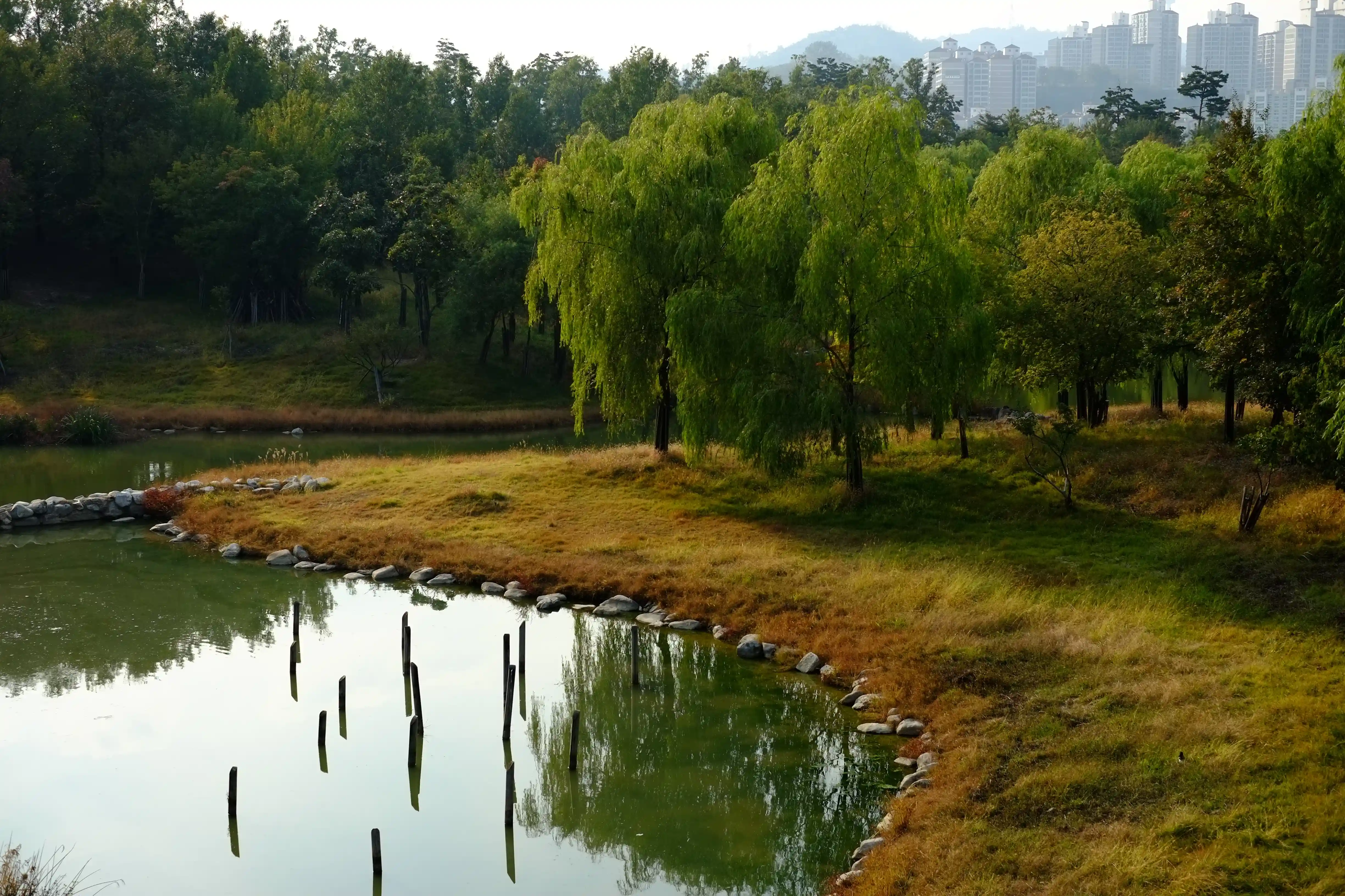 Seoul Forest