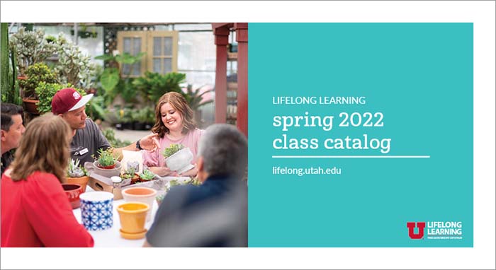 Lifelong Learning Catalog