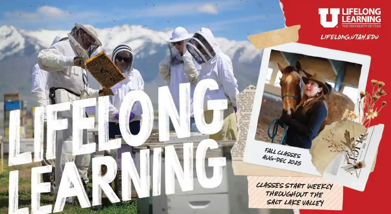 Lifelong Learning Catalog