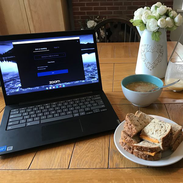 Osher lunch and learn events