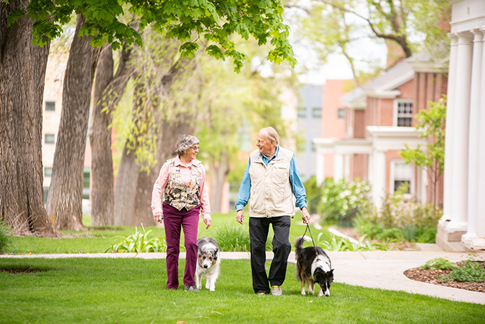 senior couple walking dogs on leashes